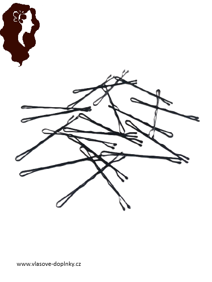 Pinetky, sponky do vlasů  – vlásenky černé 20 ks